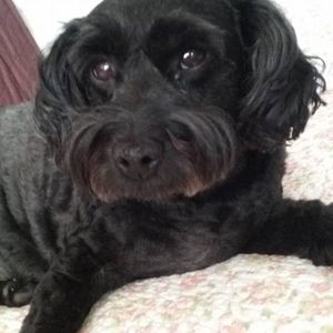 Meet your Posher, Jerilyn